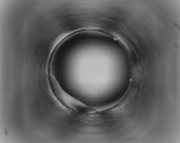 X0000097900959200803141352