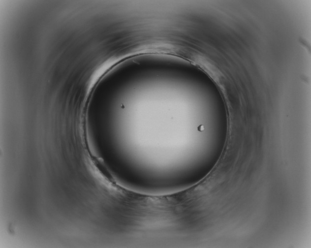 X0000097900960200803141352