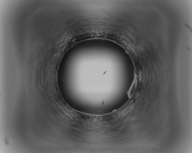 X0000097900961200803141351