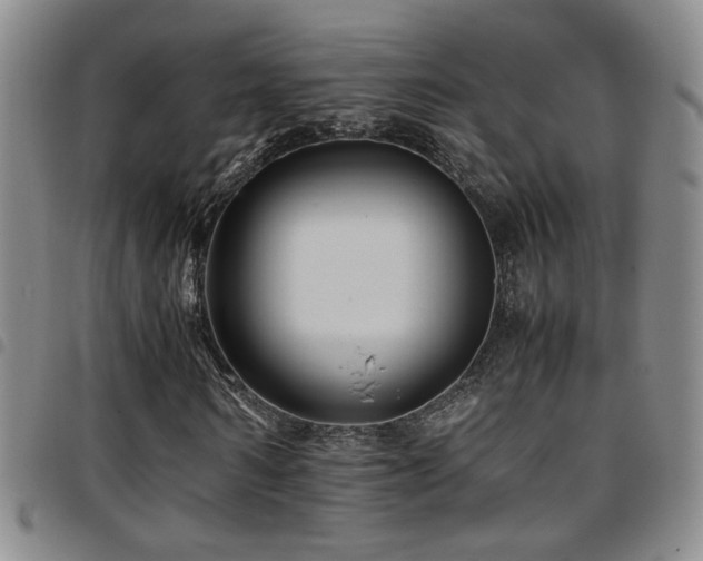 X0000097900962200803141351