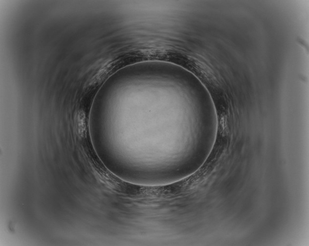X0000097900963200803141351