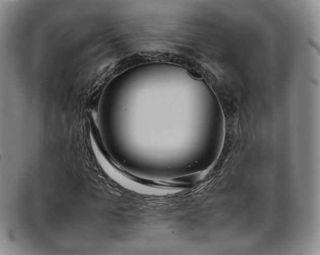 X0000097900965200803141351
