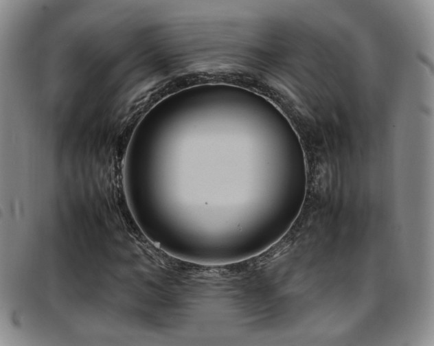 X0000097900966200803141351