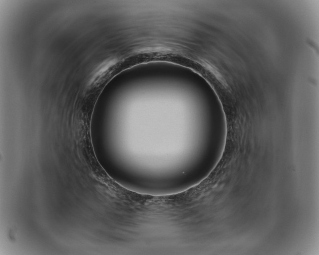 X0000097900967200803141351