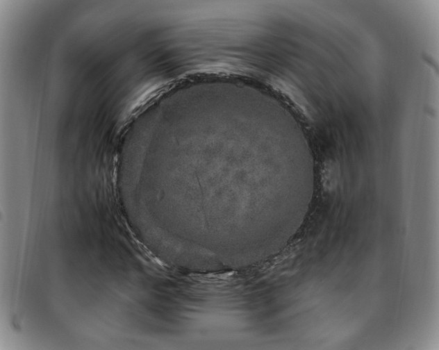 X0000097900968200803141351