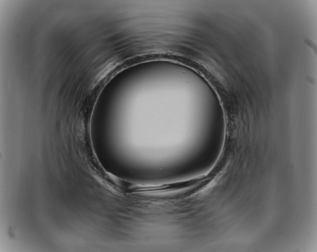 X0000097900969200803141351