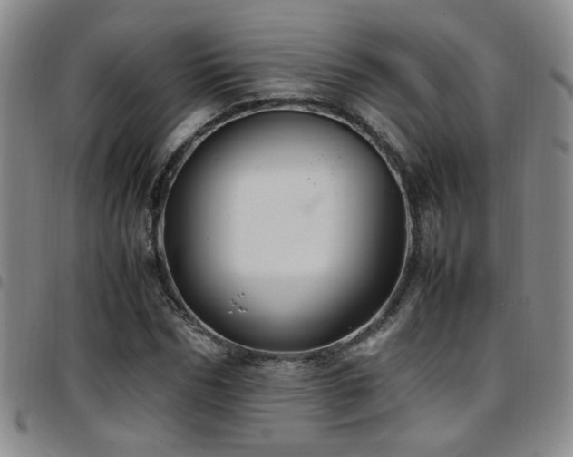 X0000097900970200803141351