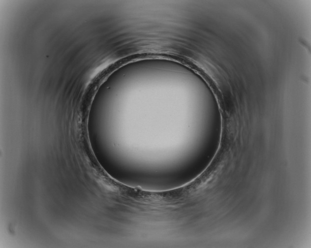 X0000097900971200803141351