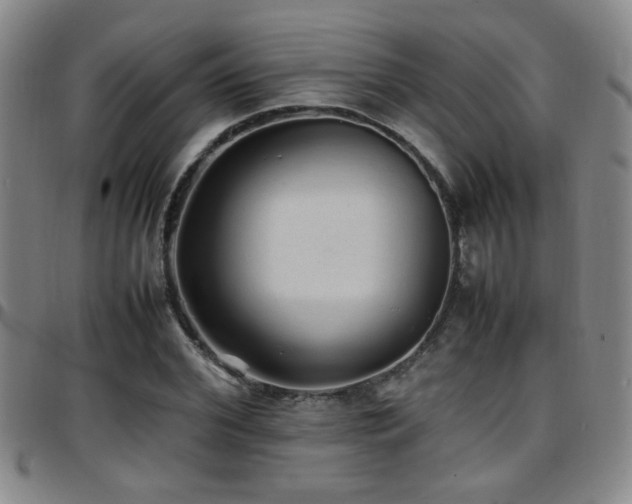 X0000097900972200803141351