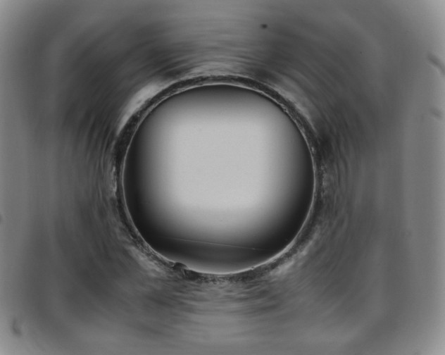 X0000097900973200803141351