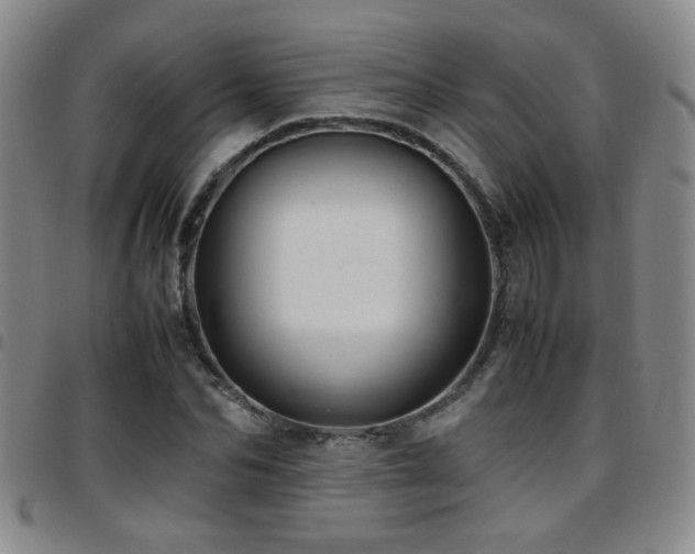 X0000097900974200803141351