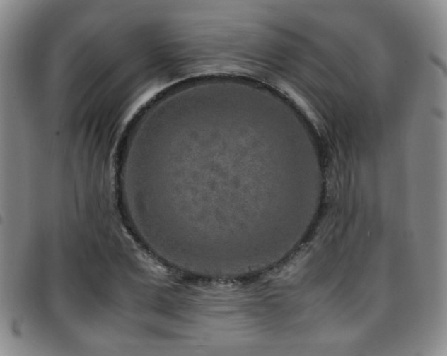 X0000097900975200803141351