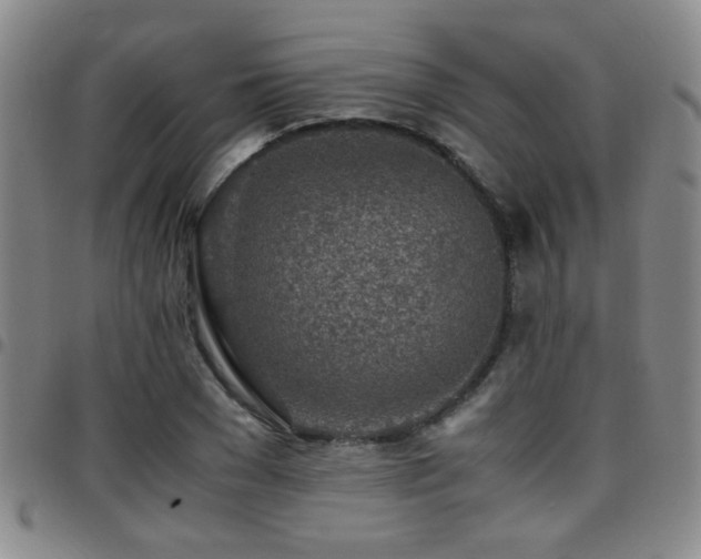 X0000097900977200803141351