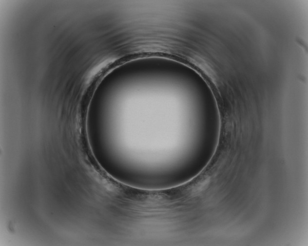 X0000097900979200803141351