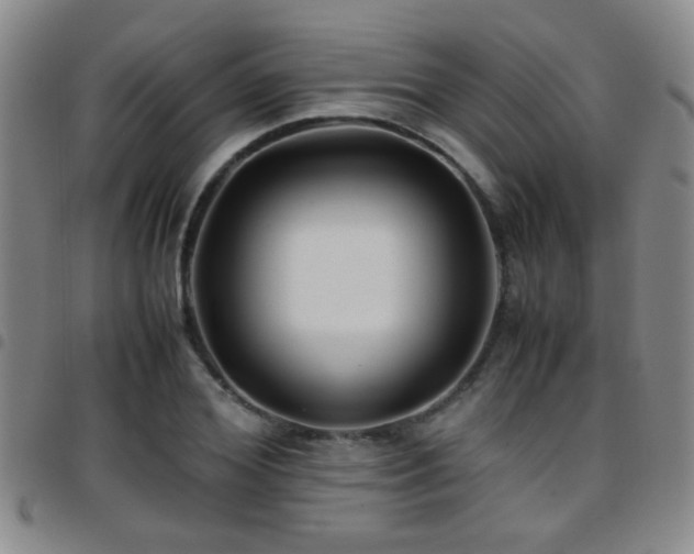 X0000097900980200803141351