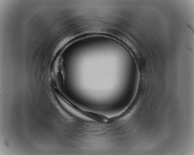 X0000097900981200803141351
