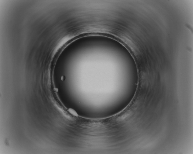 X0000097900982200803141351