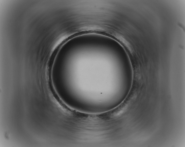 X0000097900983200803141351