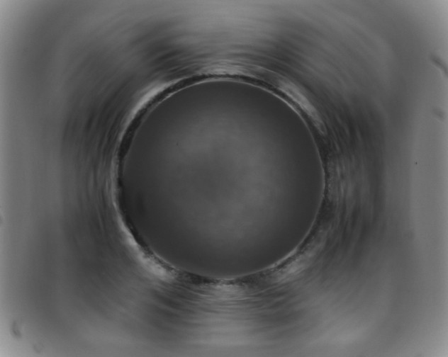 X0000097900984200803141351