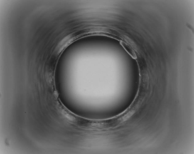 X0000097900985200803141351