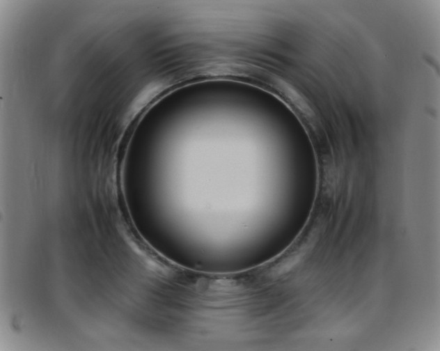 X0000097900986200803141351