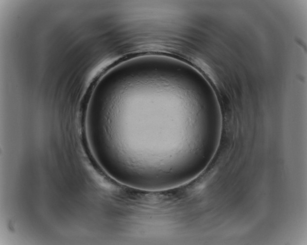 X0000097900987200803141351