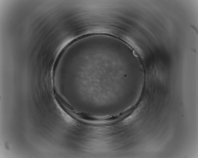 X0000097900988200803141351