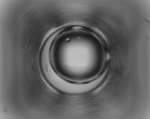 X0000097900989200803141351