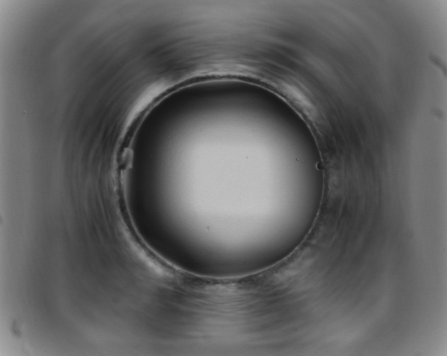 X0000097900990200803141351
