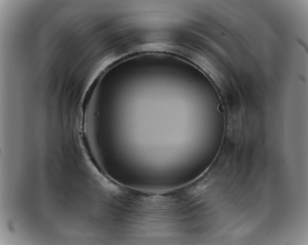 X0000097900992200803141351