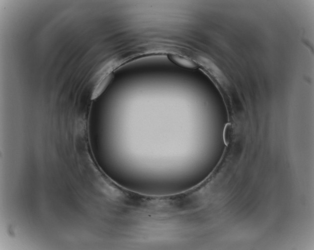 X0000097900993200803141351