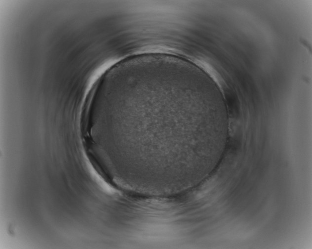 X0000097900995200803141351