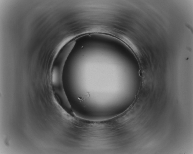 X0000097900996200803141351