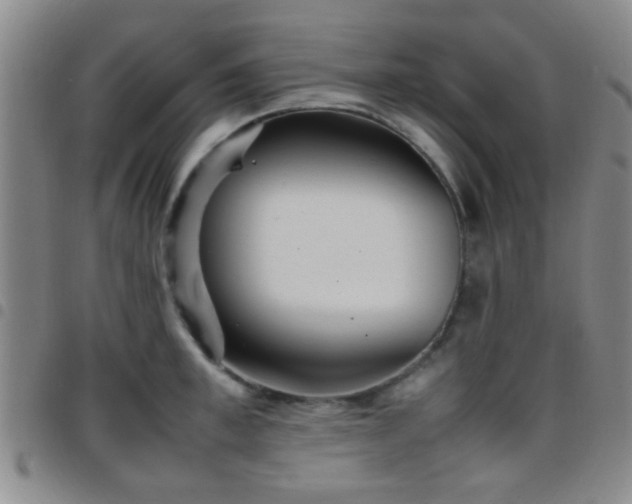 X0000097900997200803141351