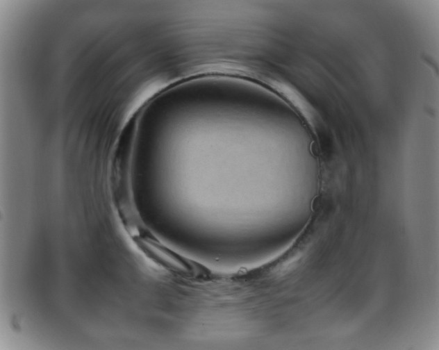 X0000097900999200803141351