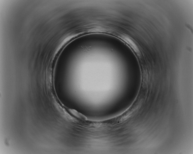 X0000097901000200803141351