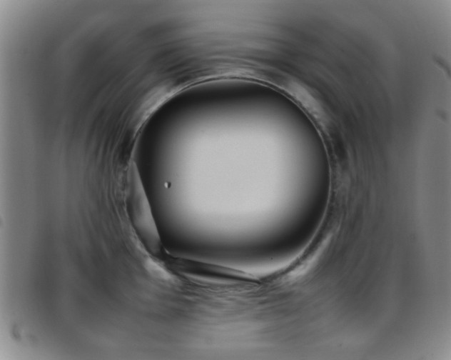 X0000097901001200803141351