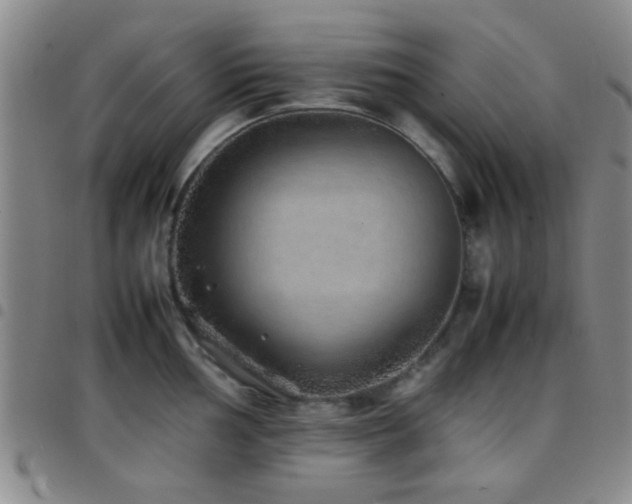 X0000097901002200803141351