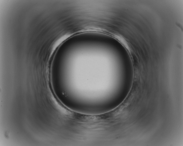 X0000097901003200803141351