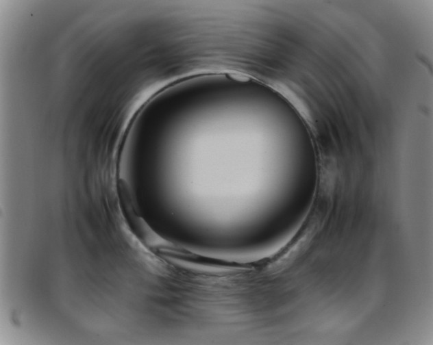 X0000097901004200803141351