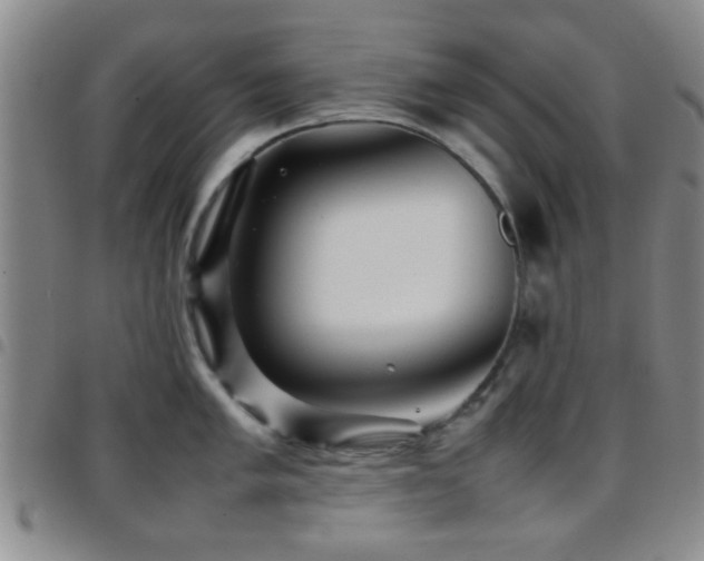 X0000097901005200803141351