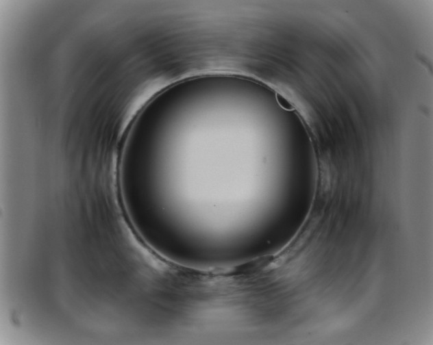 X0000097901006200803141351