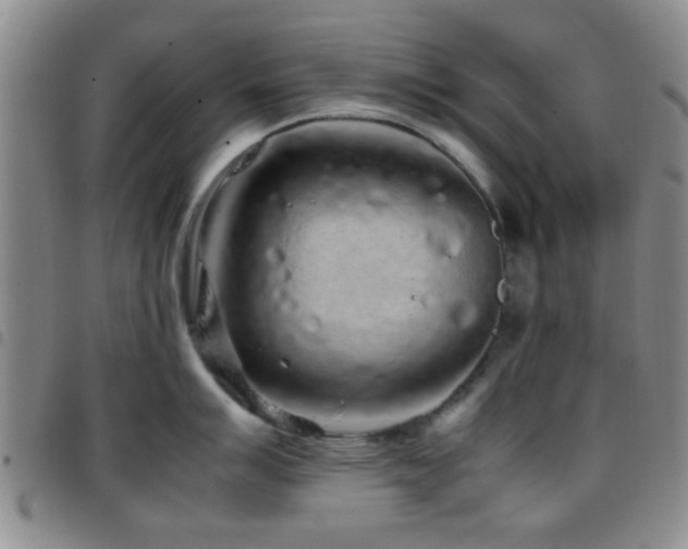 X0000097901007200803141351