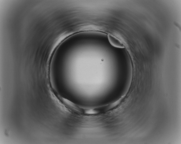 X0000097901008200803141351