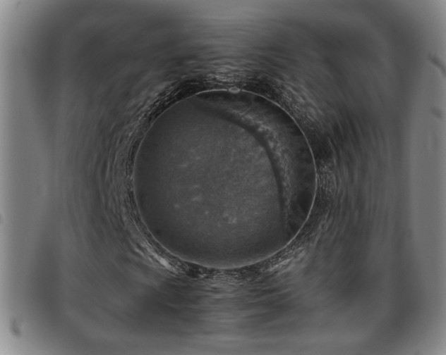 X0000097901009200803141350