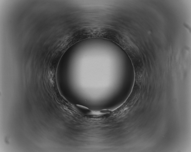 X0000097901010200803141350