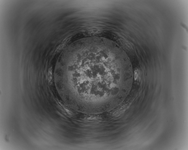 X0000097901011200803141350
