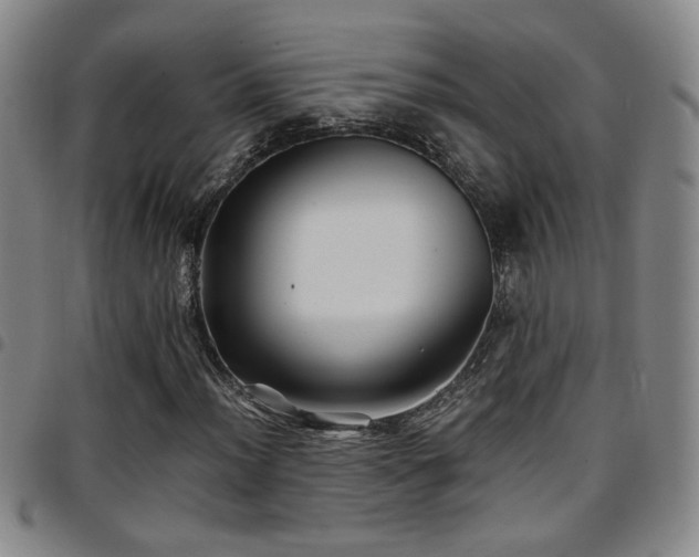 X0000097901012200803141350