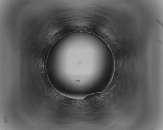X0000097901013200803141350