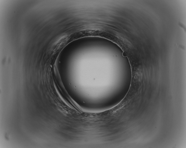 X0000097901014200803141350
